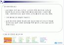 인터넷 광고 13페이지