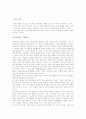 국제기업의 광고전략과 사례연구 (대우의 광고전략) 2페이지