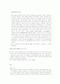 국제기업의 광고전략과 사례연구 (대우의 광고전략) 6페이지