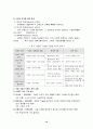 국제기업의 브랜드 전략 12페이지