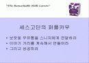 보랏빛 소가 온다 13페이지