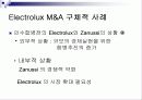 electrolux사의 해외인수합병 10페이지