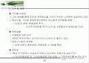 구자홍ceo 33페이지