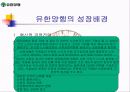 유한양행 15페이지