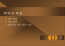 전략 추천 4페이지