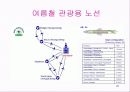 몽골항공 문제점 해결 20페이지