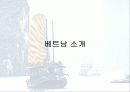 LG정보통신의 베트남진출전략 3페이지