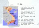LG정보통신의 베트남진출전략 4페이지