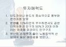 LG정보통신의 베트남진출전략 18페이지