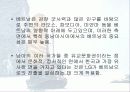 LG정보통신의 베트남진출전략 28페이지