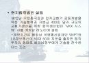 LG정보통신의 베트남진출전략 31페이지