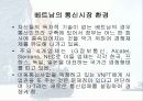 LG정보통신의 베트남진출전략 35페이지