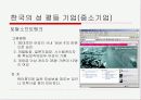 여성인력의 현실과 미래 12페이지