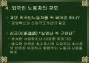 외국인 노동자 14페이지