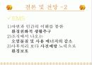 LCA와 EMS의 구축 16페이지