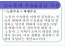 노동시장 4페이지