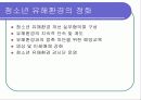 청소년 복지에 대한 일고찰 39페이지