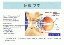 도구와 기계의 원리 2페이지