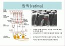 도구와 기계의 원리 3페이지