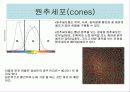 도구와 기계의 원리 4페이지