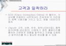 시스코의 경영전략 10페이지