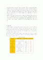 BPR 이론과 사례 연구 23페이지