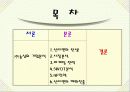 (주)농심 신라면의 해외진출 3페이지