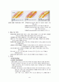 골절(fractures) 2페이지