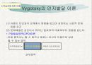 교육심리학 발표자료 11페이지