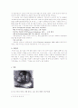 사회주의 리얼리즘 - 소비에트와 동독을 중심으로 4페이지