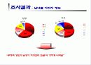 미국에 대한 부정적 이미지와 구매태도의 연관성 분석 8페이지