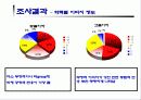미국에 대한 부정적 이미지와 구매태도의 연관성 분석 10페이지