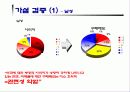 미국에 대한 부정적 이미지와 구매태도의 연관성 분석 19페이지