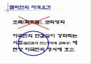 영화 챔피온 매체기획서 11페이지