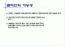 영화 챔피온 매체기획서 12페이지
