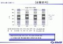 sm3 광고기획서 18페이지