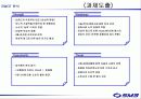 sm3 광고기획서 31페이지