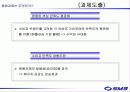sm3 광고기획서 35페이지