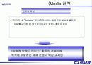 sm3 광고기획서 56페이지