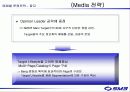 sm3 광고기획서 64페이지