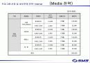 sm3 광고기획서 72페이지