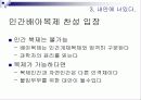 인간 배아복제 11페이지