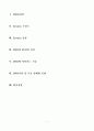 DVR(Digital Video Recorder)기술 및 상용화 보고서  2페이지