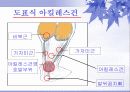 건염과 건초염의 최신분석자료 7페이지