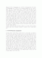 마케팅4p4c 2페이지