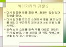 일본도 - 무사도 발표자료 20페이지