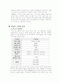 휴대인터넷 19페이지