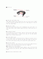 타이어에 대한 리포트 5페이지