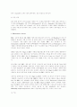 타이어에 대한 리포트 23페이지