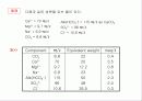 연수화 공정 10페이지